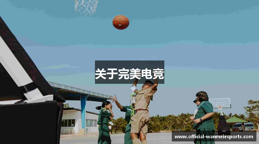 关于完美电竞